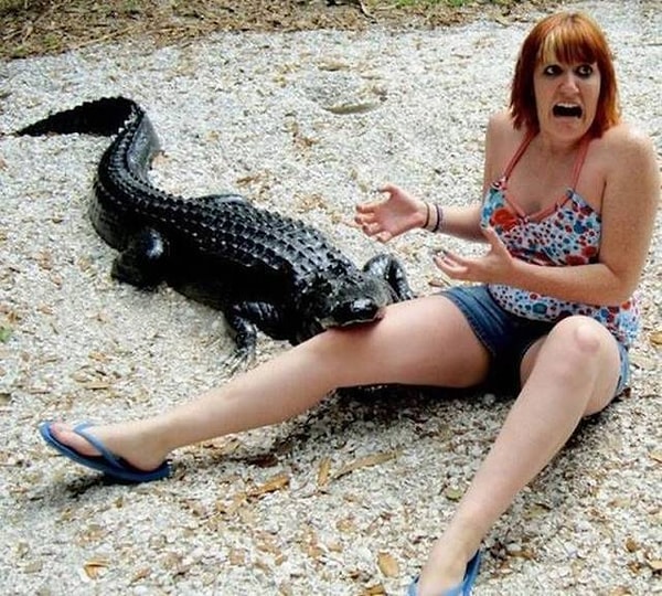 29. Реакция бесценна!