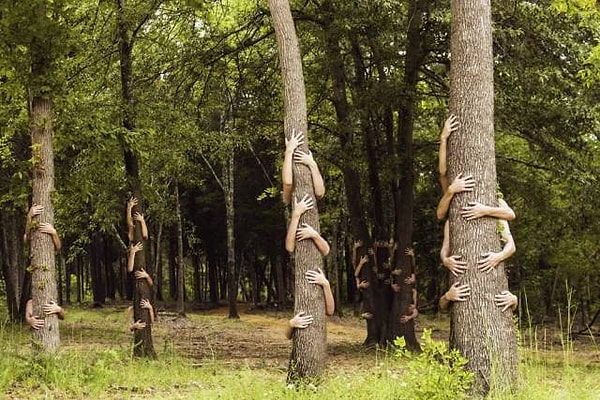 31. И это... 🙃