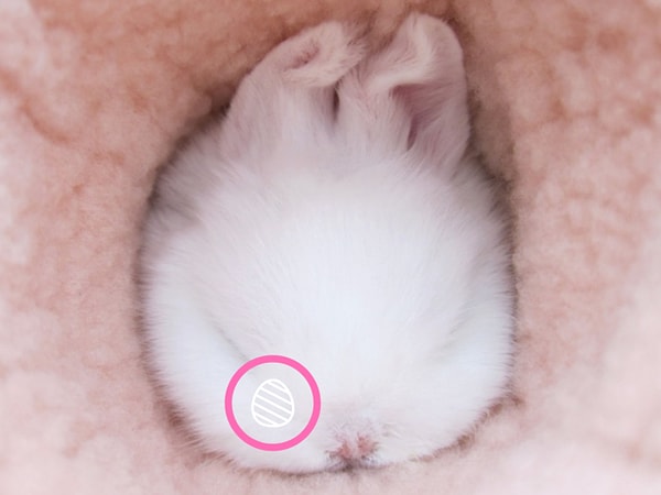 Посмотреть правильный ответ: