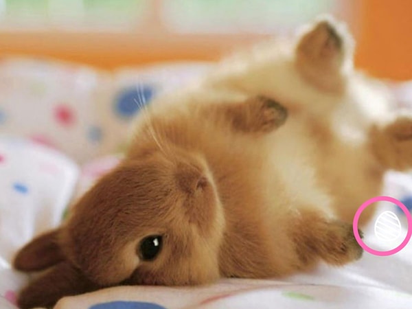 Посмотреть правильный ответ: