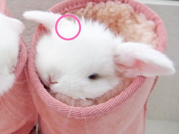 Посмотреть правильный ответ: