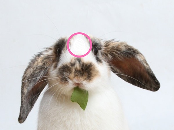 Посмотреть правильный ответ: