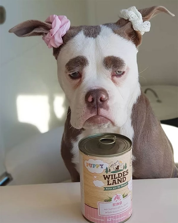 Да-да, Madame Eyebrows - еще один такой "феномен".