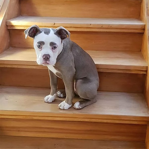 Такое впечатление, что жизнь ей совсем не в радость 😅