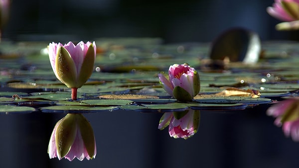 4. Моя работа позволяет мне делать то, что важно в жизни?