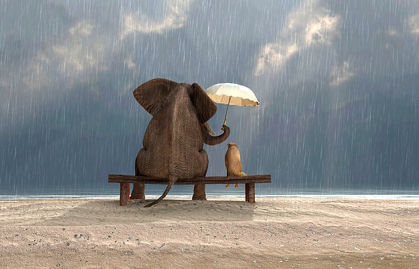 11. В любой ситуации оставайтесь добры и ведите себя по-взрослому