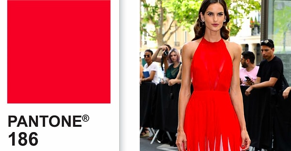 Цвет твоей весны - скарлет!