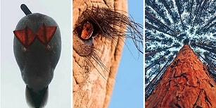 Görünce Bir Daha Asla Dümdüz Fotoğraf Çekmek İstemeyeceğiniz 15 Farklı Açılı Fotoğraf