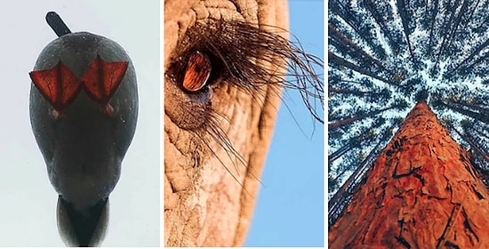 Görünce Bir Daha Asla Dümdüz Fotoğraf Çekmek İstemeyeceğiniz 15 Farklı Açılı Fotoğraf