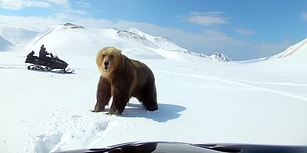 Gördüğü Ayıyı Takip Eden Kar Motorlunun Ayı Pençesinden Son Anda Kurtulduğu Anlar