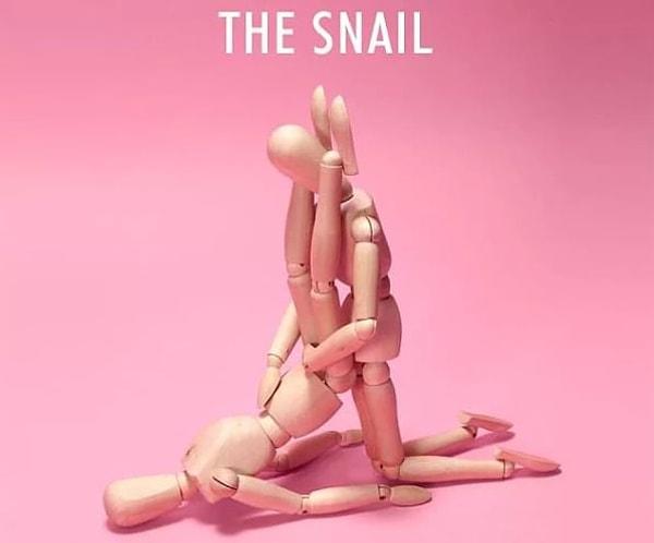 18. The Snail