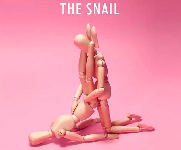 18. The Snail