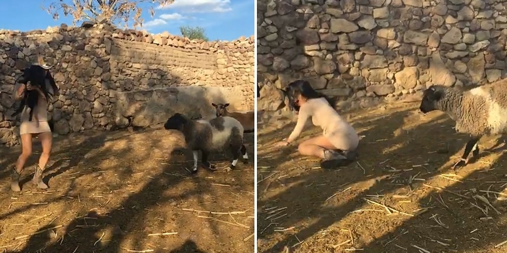 Yavrusunu Eline Alıp Tekme Savuran Kadına Uçan Kafa Atan Koyun