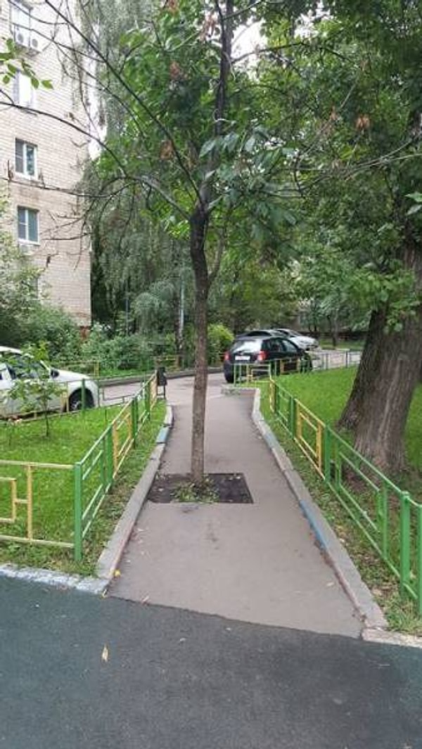 5. А охрана природы у нас на должном уровне