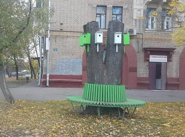 14. А эта фотография показывает, насколько мы близки с нашими пернатыми друзьями)