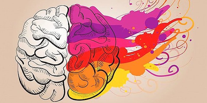 Гуманитарий или технарь? Этот тест определит твой склад ума 😉