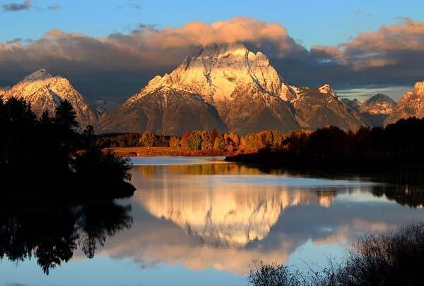 5. Какой из цветов на этом изображении, по вашему мнению, самый красивый?