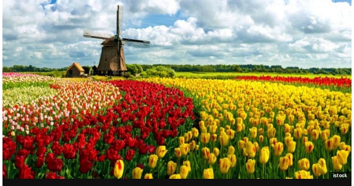 Тест: выберите цвет, который первым бросается вам в глаза, а мы расскажем о ваших 5 особенностях