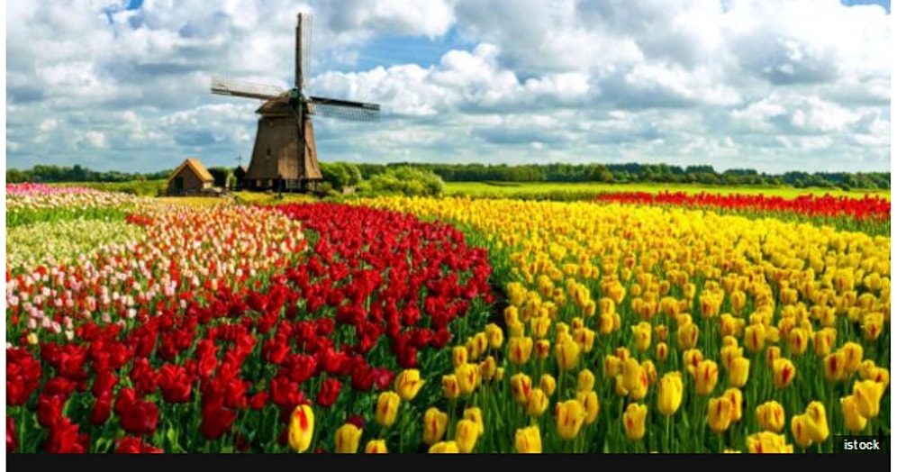 Тест: выберите цвет, который первым бросается вам в глаза, а мы расскажем о ваших 5 особенностях