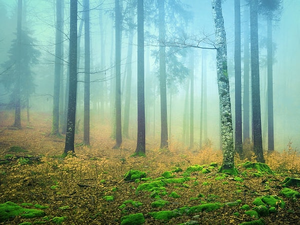 1. Итак, какой цвет первым бросается вам в глаза?