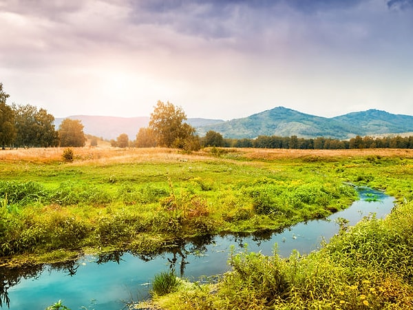 7. Красиво, правда? Скорее выбираем один цвет: