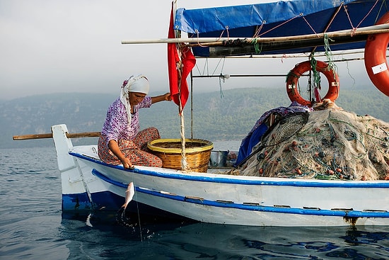 Akdeniz’in Biyolojik Zenginliğini Koruyarak Gökova Körfezi’nde Fark Yaratıyorlar: Akdeniz Koruma Derneği