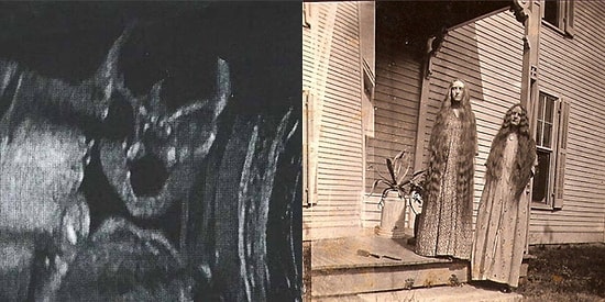 Tüyler Diken Diken! Ne Eğlenceli Ne de Sevimli Olan Ürkütücü 29 Fotoğraf