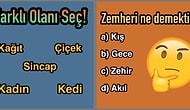 Coğrafya, Edebiyat, Mantık, Tarih: Bu Kitap Ödüllü Testi Bu 4 Alanda da Yetkin Olanlar Geçebiliyor!