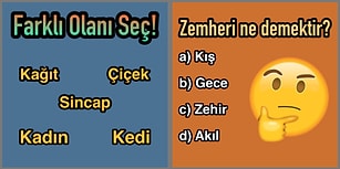 Coğrafya, Edebiyat, Mantık, Tarih: Bu Kitap Ödüllü Testi Bu 4 Alanda da Yetkin Olanlar Geçebiliyor!