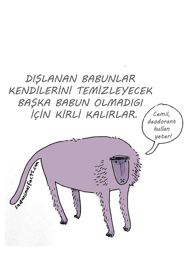 #14