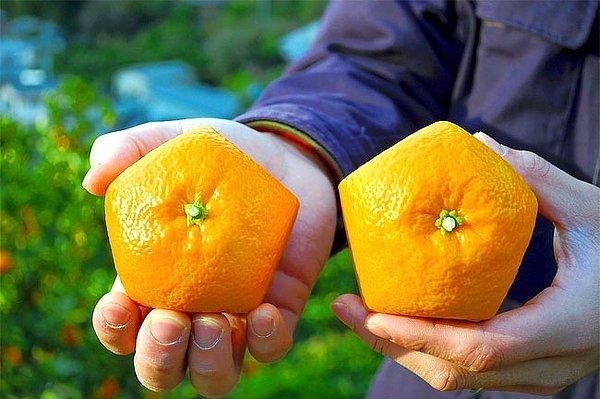 2. Beşgen portakallar.
