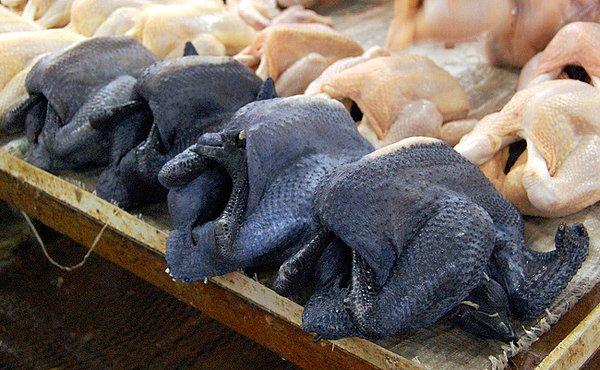 21. Siyah Çin tavukları.