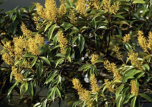 7. А на этом изображении?