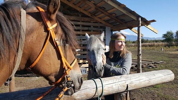 5. Конноспортивные фермы и центры иппотерапии