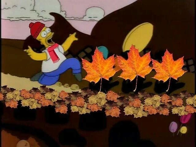 Hele sonbaharda o kırış kırış yaprakların üstüne basmak yok mu...