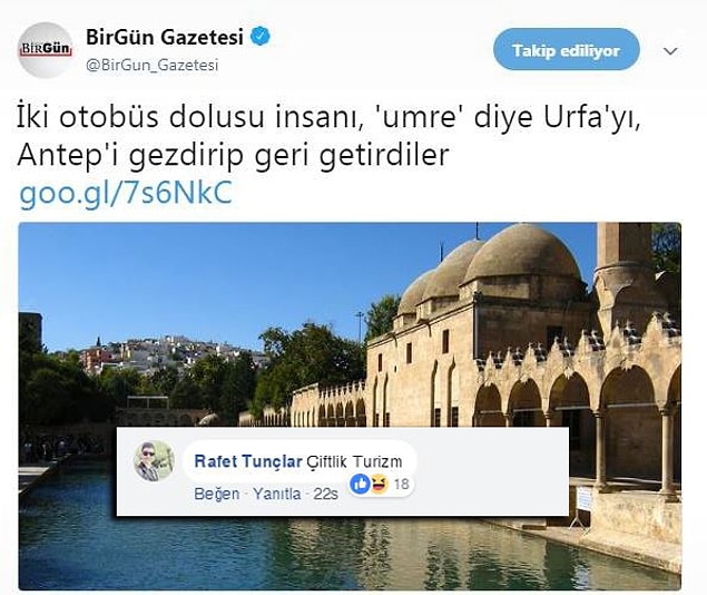 4. Çiftlik şirketleri bitmiyor...