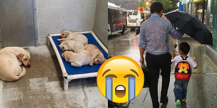 15 картинок, которые доказывают, что у этого мира еще есть шанс на спасение