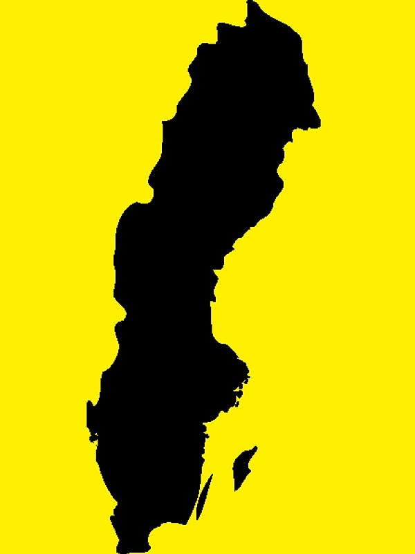 9. Силуэт какого государства можно узнать на этом изображении?