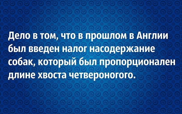 Посмотреть ответ:
