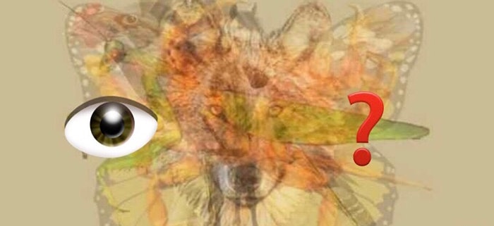 Ответьте всего на 1 вопрос этого зрительного теста и узнайте кое-что о скрытых сторонах вашей натуры!