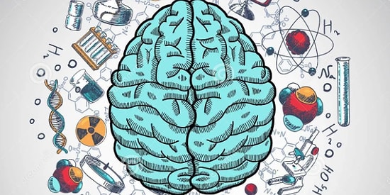 Всего 5% людей с по-настоящему широким кругозором смогут правильно ответить на эти 10 рандомных вопросов