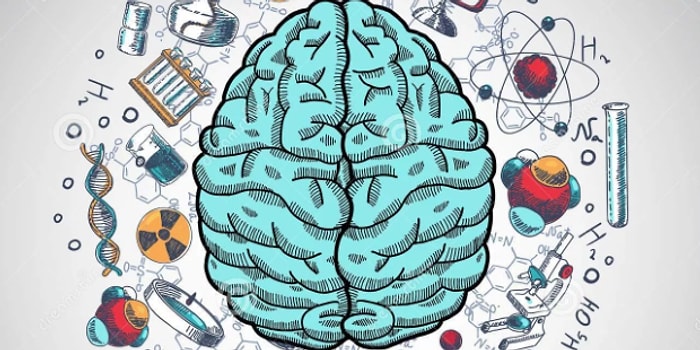 Всего 5% людей с по-настоящему широким кругозором смогут правильно ответить на эти 10 рандомных вопросов