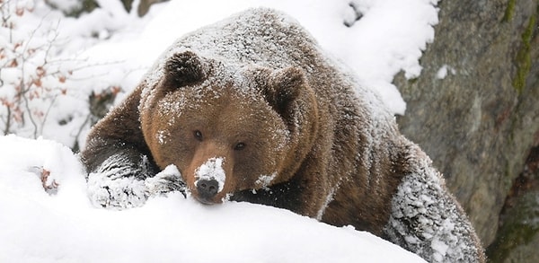 6. Волосы у него были всклокочены, один глаз с_просонья закрыт