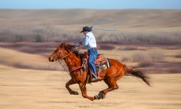 8. Напарник повернул на_скаку, кинулся к нему зверем, хотел сшибить с коня