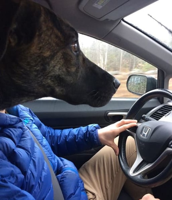 4. Ну, они претендуют на место человека