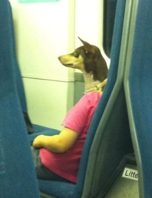 5. Вот наглядный пример: