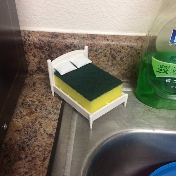 8. Эта губка живет лучше, чем я!