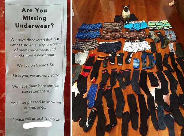 4. "Трусы теряли?"