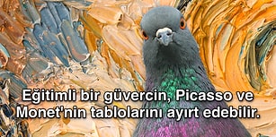 Öğrendikten Sonra Ciddi Bir Aydınlanma Yaşamanıza Sebep Olacak Kadar İlginç 18 Bilgi