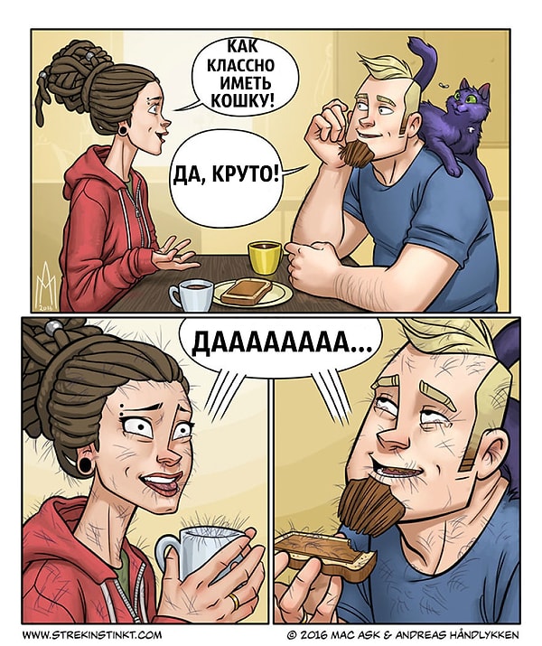 4. Как же классно иметь кошку...